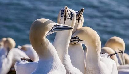 仙桃伴游，定制QQ：3494206190微信：act1322